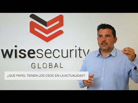 WISE SECURITY GLOBAL