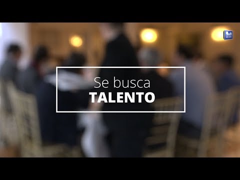 Se busca talento