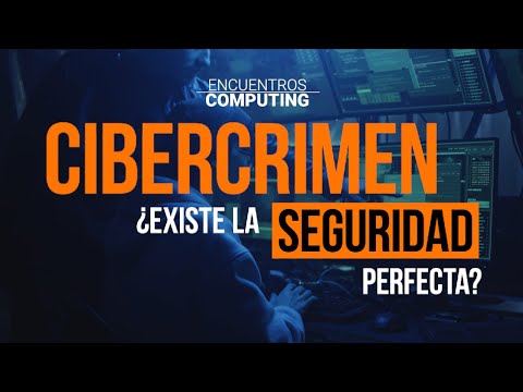 Cibercrimen ¿Existe la seguridad perfecta?