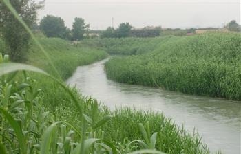 Eptisa TI gestionará la red de aguas de Molina de Segura