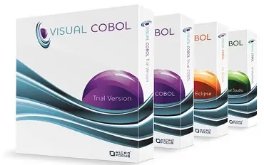 Visual Cobol
