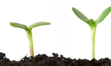 Bip y Easyvista debaten sobre el nuevo Catálogo de Servicios