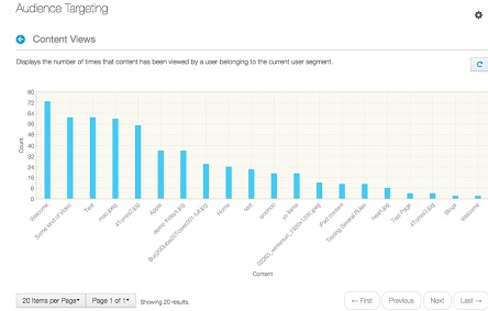 Liferay audience engagement