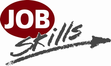 e-skills