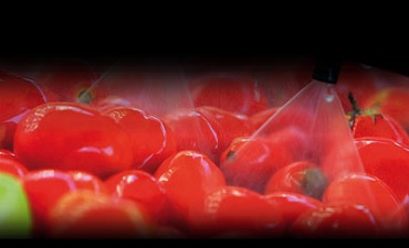 Sogepoc elige IFS para unificar la gestión del Grupo