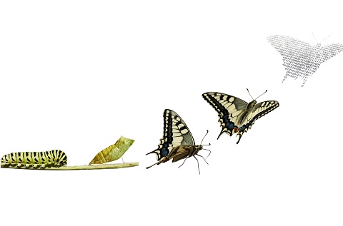 El lento camino hacia la transformación digital