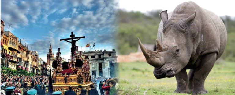 Seis aplicaciones del IoT en el mundo.