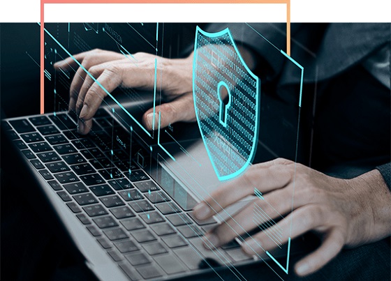 Nueva solución de monitoreo y análisis del tráfico de red de Bitdefender