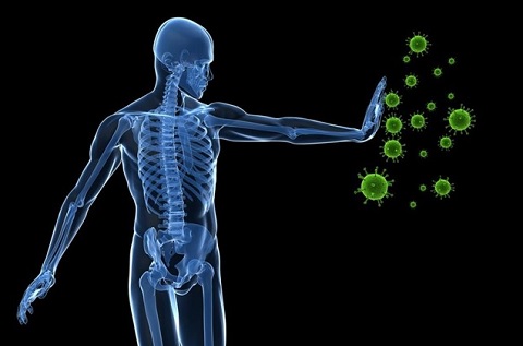 IA, un sistema inmunológico para la ciberserguridad