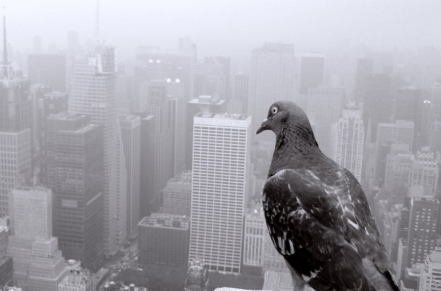 PUNTO TIC: Memorias de un año para olvidar