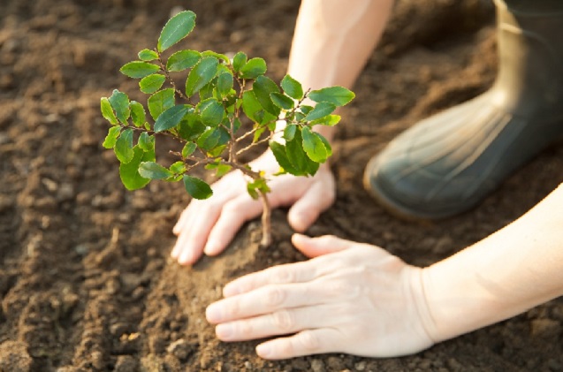 En busca de un futuro sostenible para la pyme