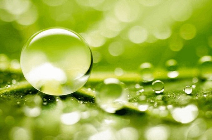 Un 87% de las empresas europeas prevé alcanzar las emisiones cero para 2030 o antes